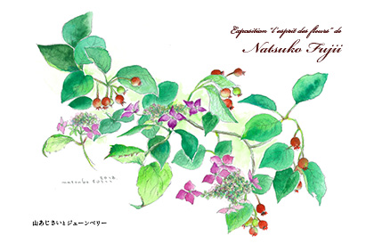 阿蘇白水郷美術館　作品展DM