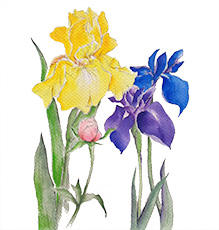 藤井奈津子 作品画像